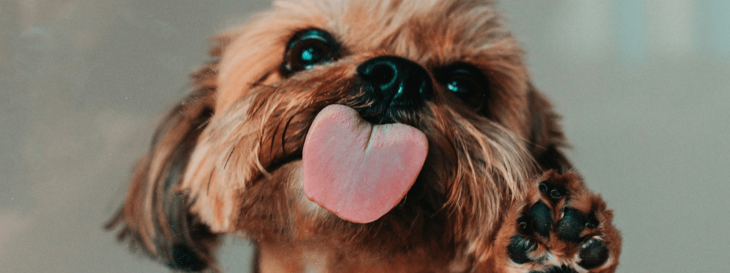Blog Header Image